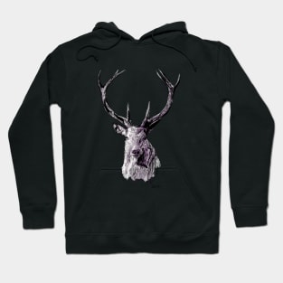 Lord Of The North - Stag - Ink and Watercolour Hoodie